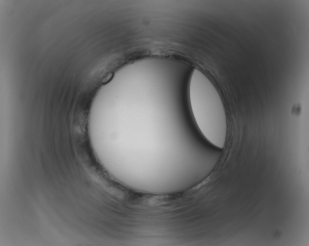 X0000115620078200911101106