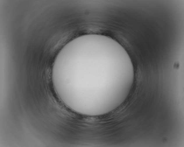 X0000115620079200911101106