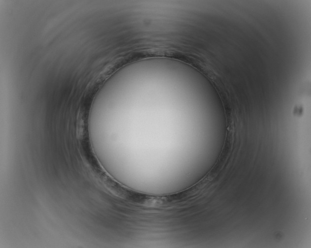 X0000115620080200911101106