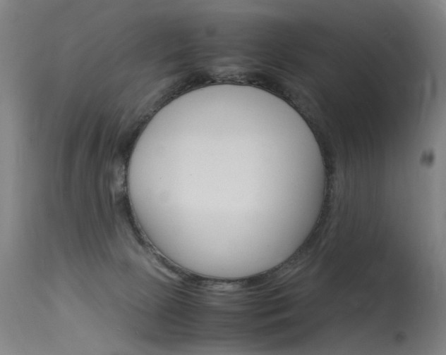 X0000115620081200911101106