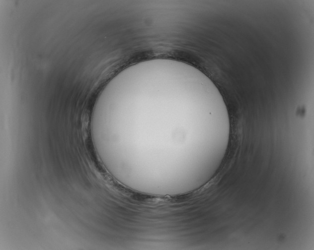 X0000115620082200911101106