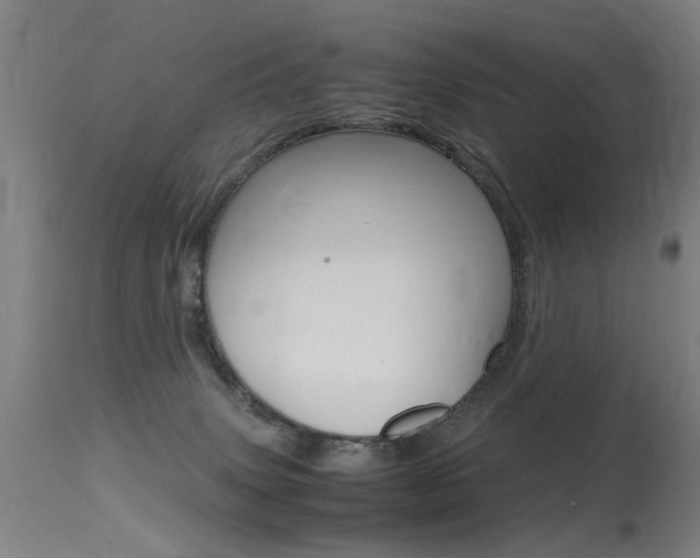 X0000115620083200911101106