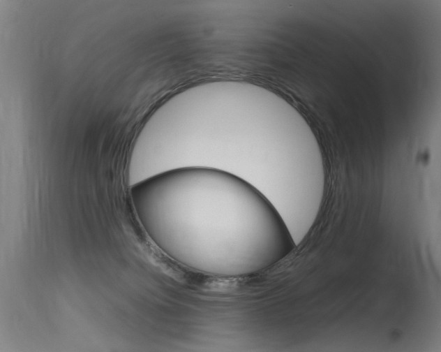 X0000115620084200911101106