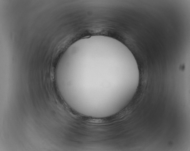 X0000115620085200911101106