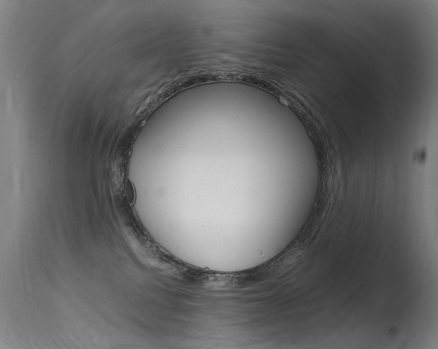 X0000115620088200911101106