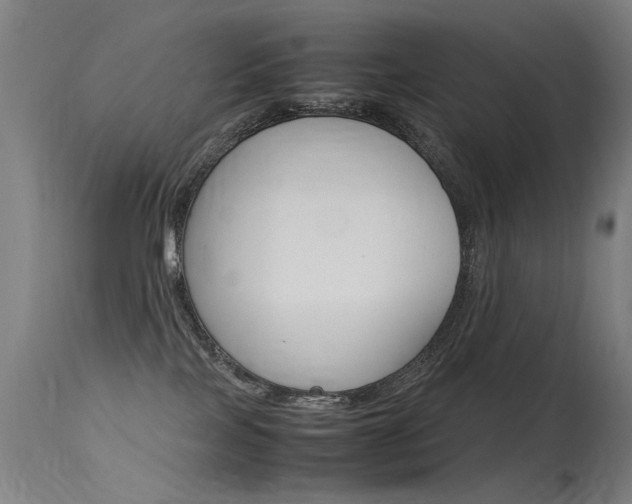 X0000115620089200911101106