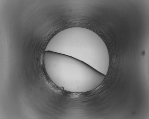 X0000115620090200911101106