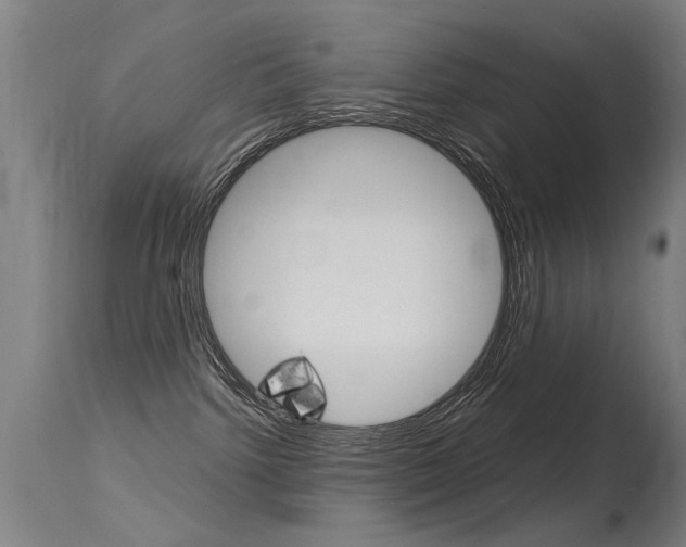 X0000115620092200911101106