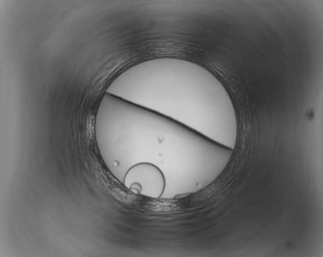 X0000115620093200911101106