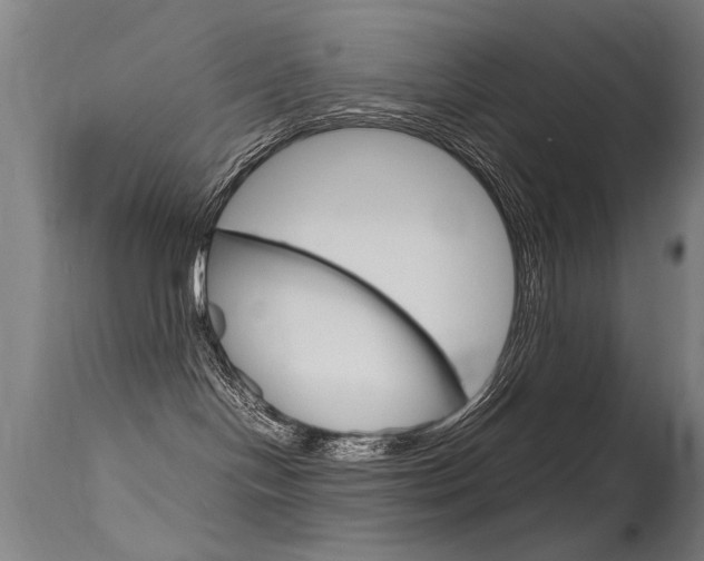 X0000115620094200911101106