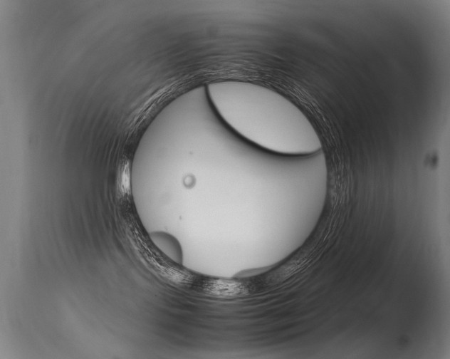 X0000115620095200911101106