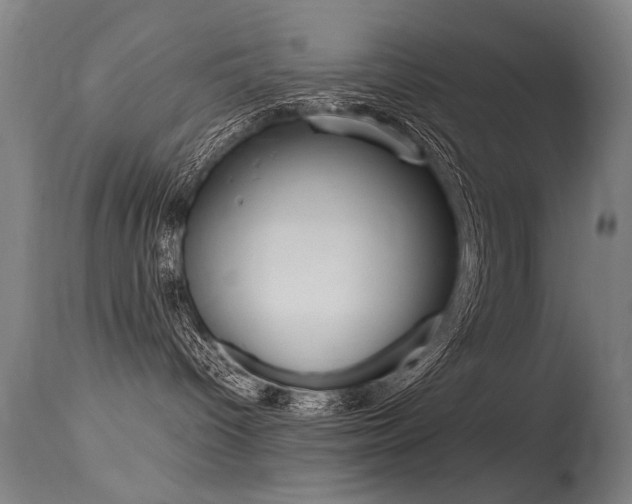 X0000115620096200911101106