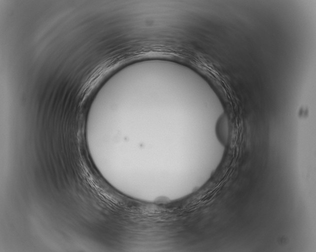 X0000115620098200911101105