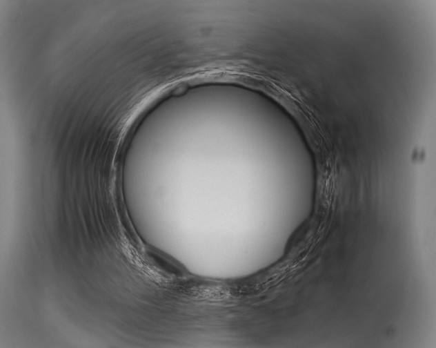 X0000115620100200911101105