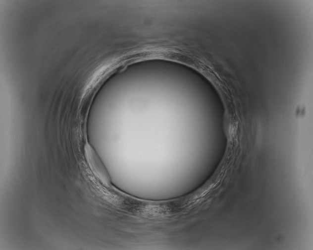 X0000115620101200911101105