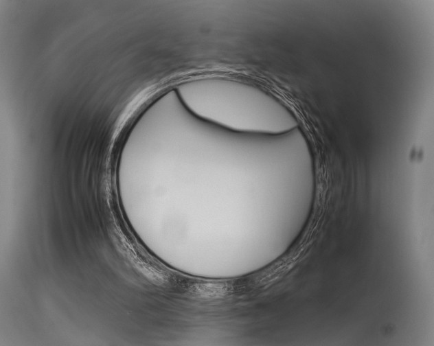 X0000115620102200911101105