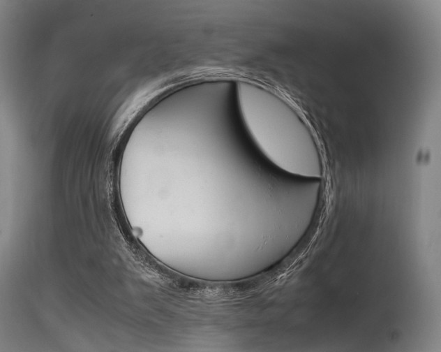 X0000115620103200911101105