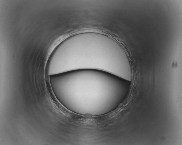 X0000115620104200911101105