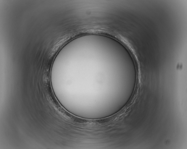 X0000115620105200911101105