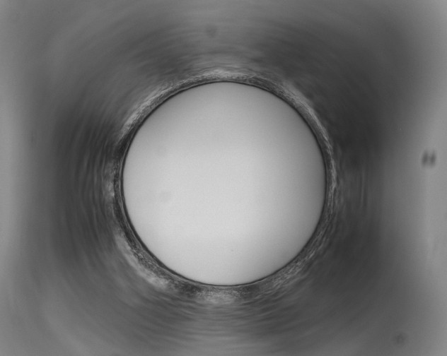 X0000115620106200911101105