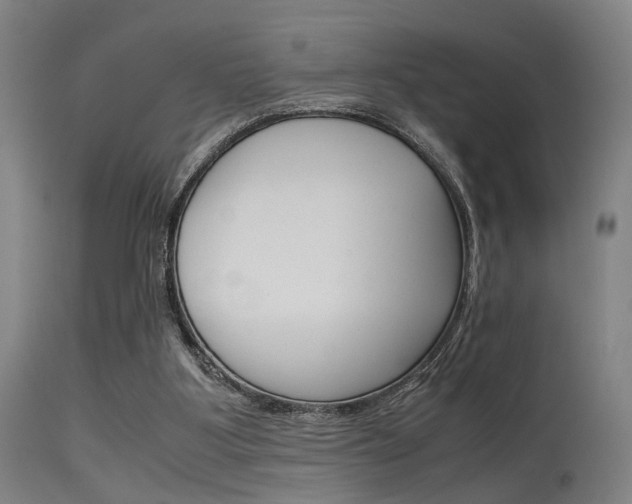 X0000115620107200911101105