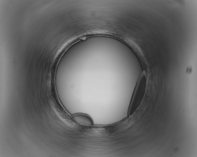 X0000115620108200911101105