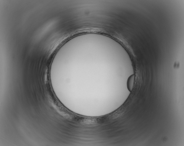 X0000115620110200911101105