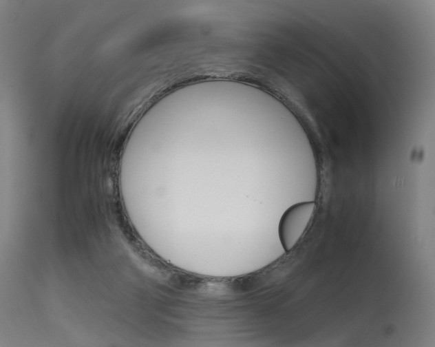 X0000115620114200911101105