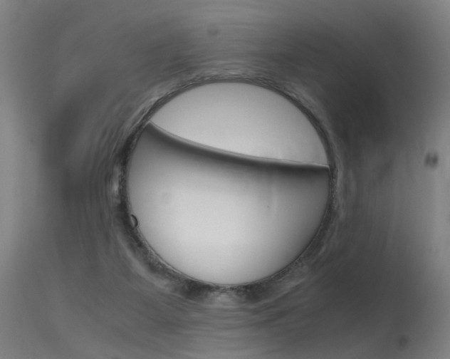 X0000115620115200911101105