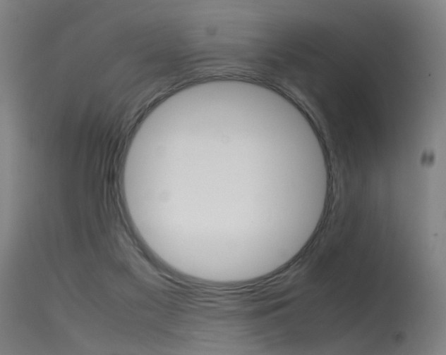 X0000115620117200911101105