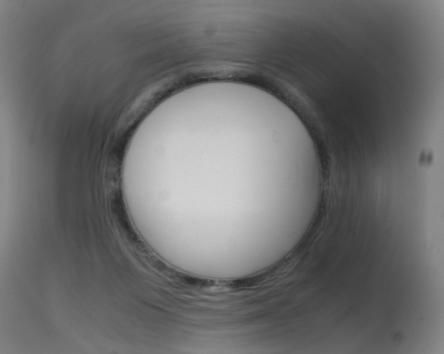 X0000115620119200911101105