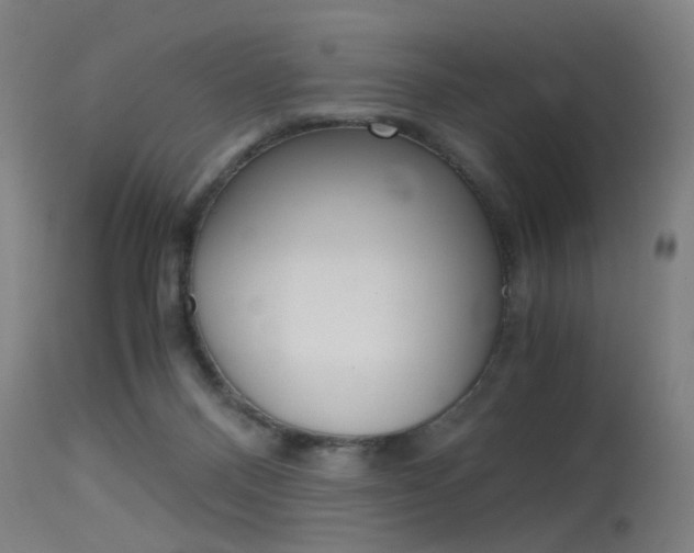 X0000115620120200911101105