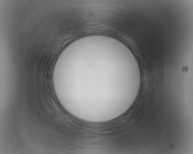 X0000115620121200911101105