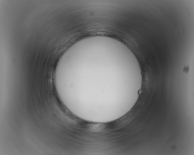 X0000115620122200911101105