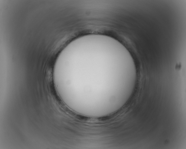 X0000115620123200911101105