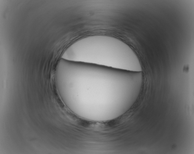 X0000115620125200911101105