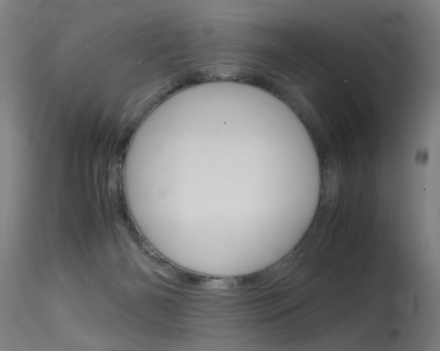 X0000115620126200911101105