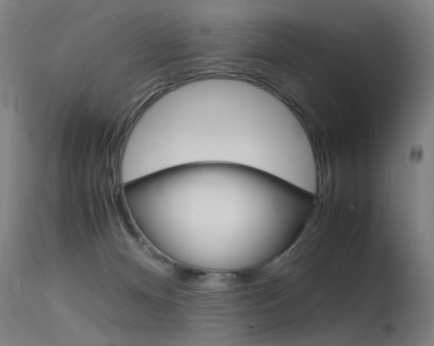 X0000115620128200911101105