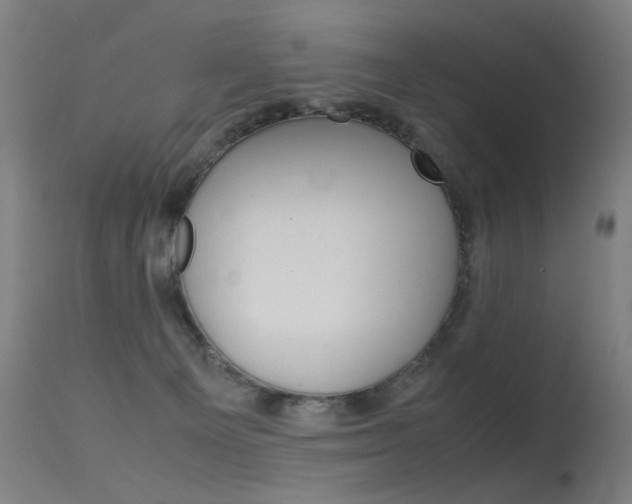 X0000115620129200911101105