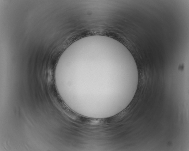 X0000115620130200911101105