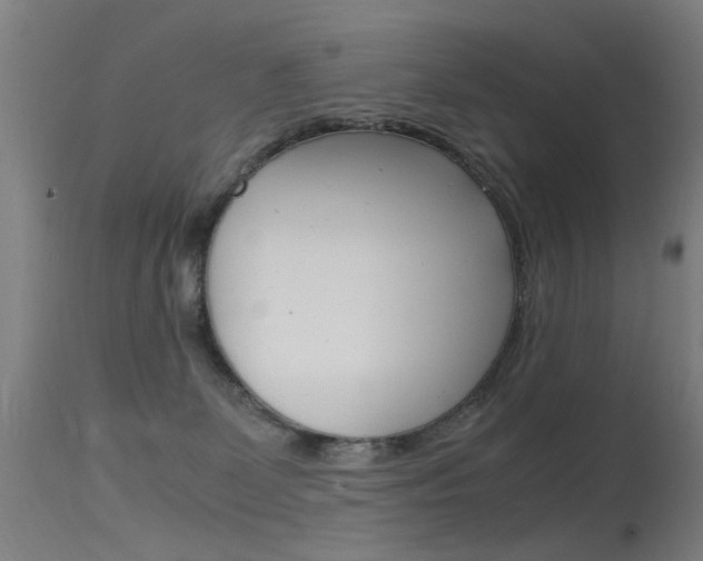 X0000115620131200911101105