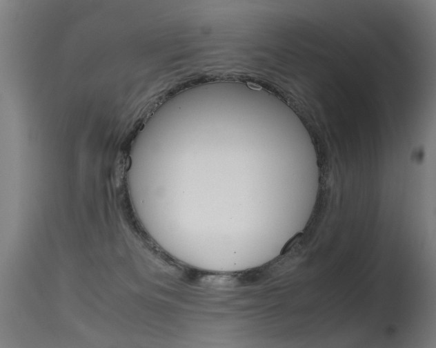 X0000115620133200911101105