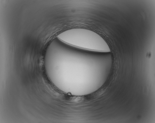 X0000115620135200911101105