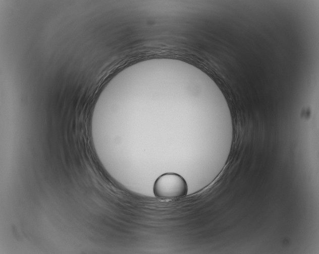 X0000115620136200911101105