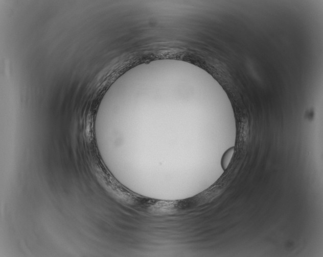 X0000115620138200911101105