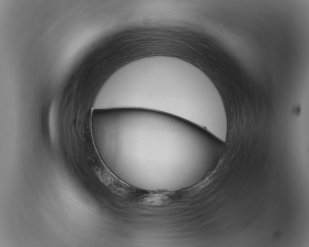 X0000115620140200911101105