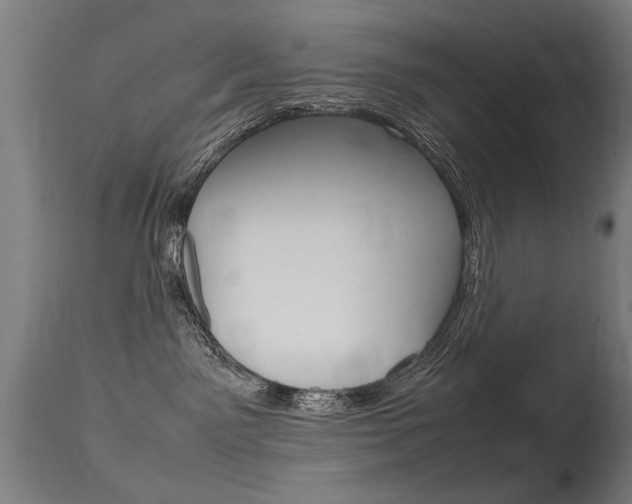 X0000115620141200911101105