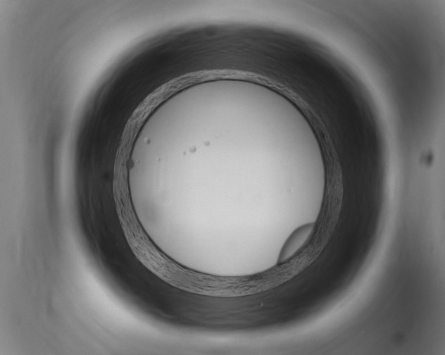 X0000115620142200911101104