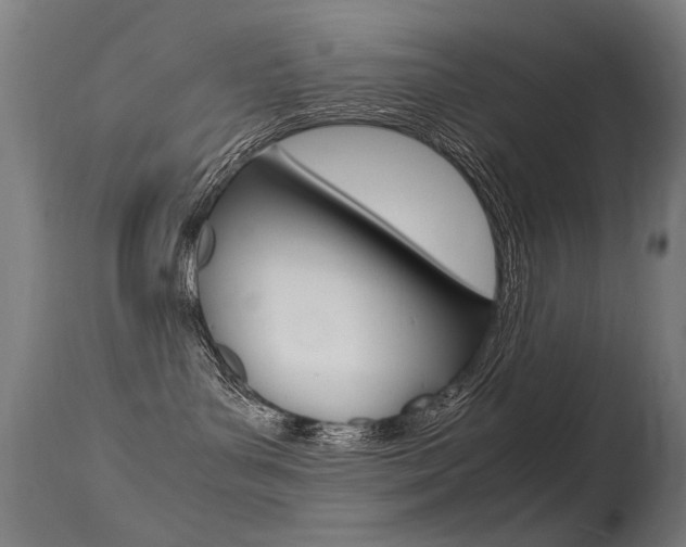 X0000115620143200911101104