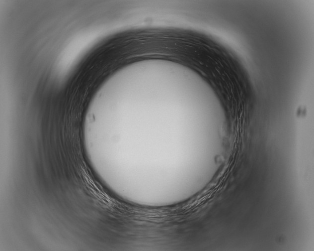 X0000115620146200911101104